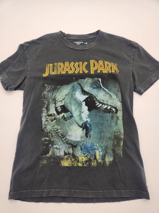Abercrombie & Fitch Tops - Abercrombie & Fitch Jurassic Park Graphic Tee Womens Medium Relaxed Black Washed